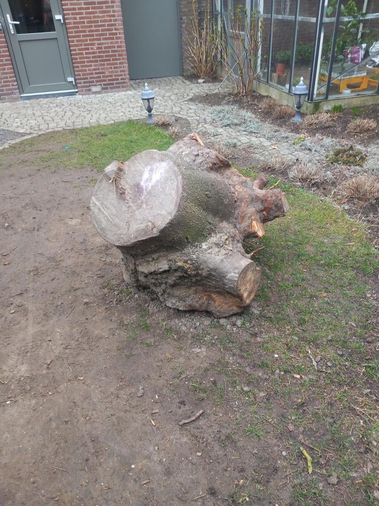 GRATIS - Boomstronk - voor geiten weitje of decoratie, Ophalen