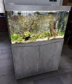 Aquatlantis Splendid 100+Co2+LED&Controller+Oase Filter 250, Dieren en Toebehoren, Vissen | Aquaria en Toebehoren, Ophalen, Inclusief deksel
