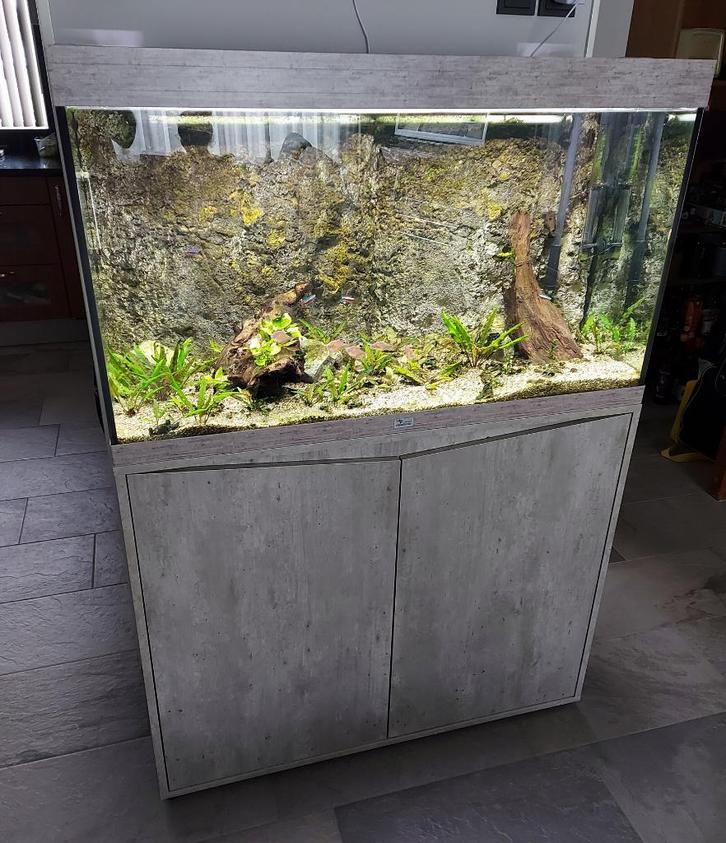 Aquatlantis Splendid 100+Co2+LED&Controller+Oase Filter 250, Dieren en Toebehoren, Vissen | Aquaria en Toebehoren, Zo goed als nieuw