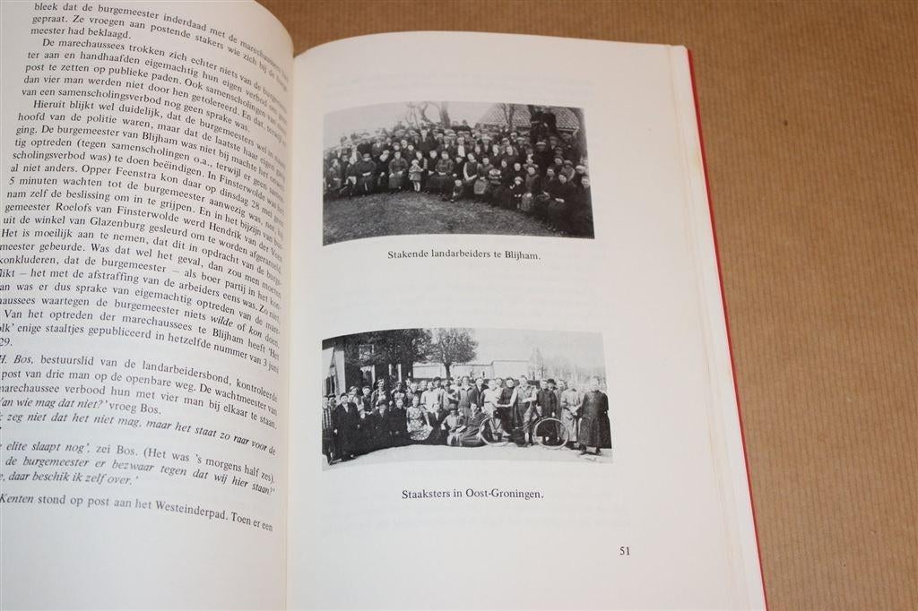 Staking in de Graanrepubliek — Oost-Groningen 1929, Ophalen of Verzenden, Gelezen