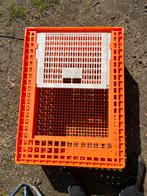 Pluimvee transport kratten, Kip