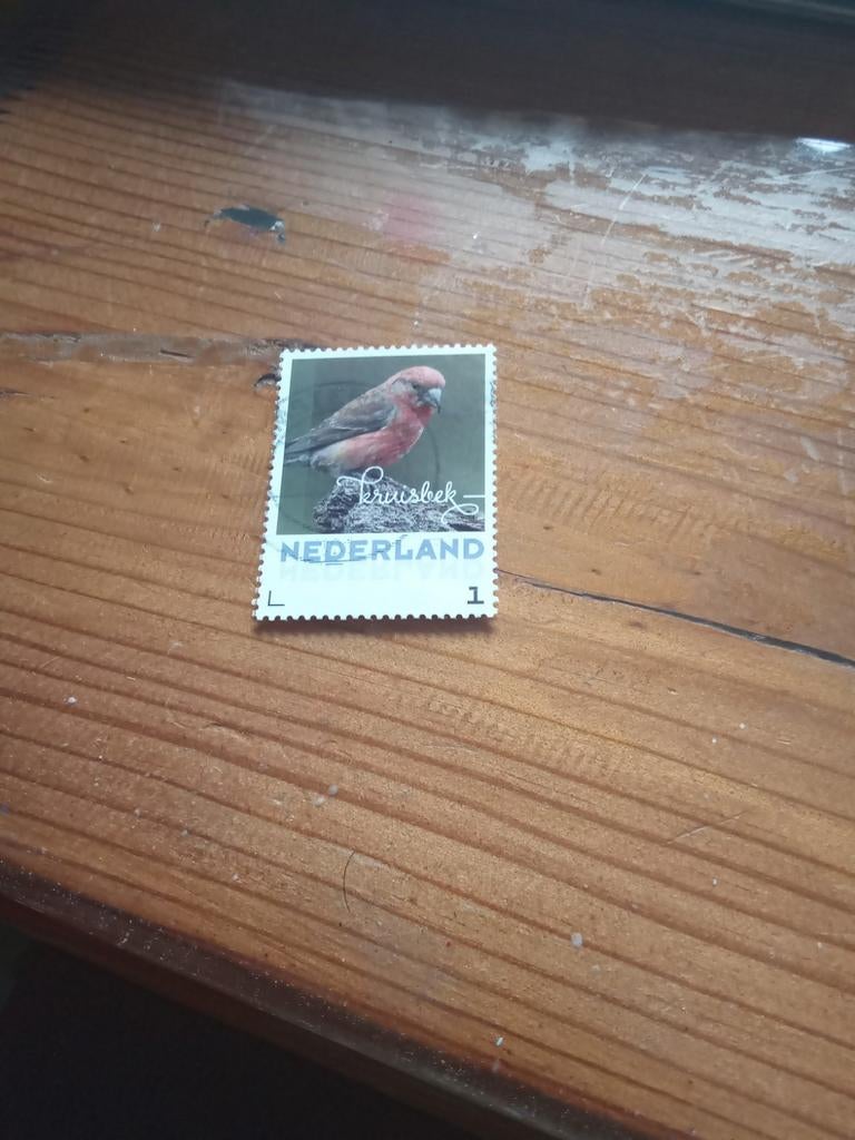 Nederlandse postzegel: Kruisbek, Ophalen of Verzenden