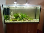 200 Liter aquarium + kast en toebehoren. Volledige setup, Dieren en Toebehoren, Vissen | Aquaria en Toebehoren, Ophalen, Gevuld zoetwateraquarium