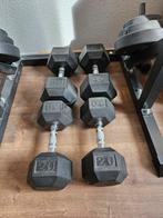 Hexa Dumbbells: 2x20 kg en 2x30 kg, Ophalen of Verzenden, Gebruikt, Rug, Dumbbell