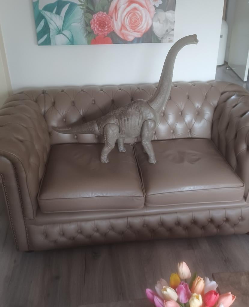 JURASSIC WORLD Grote Brachiosaurus dinosaurus speelgoed, Ophalen