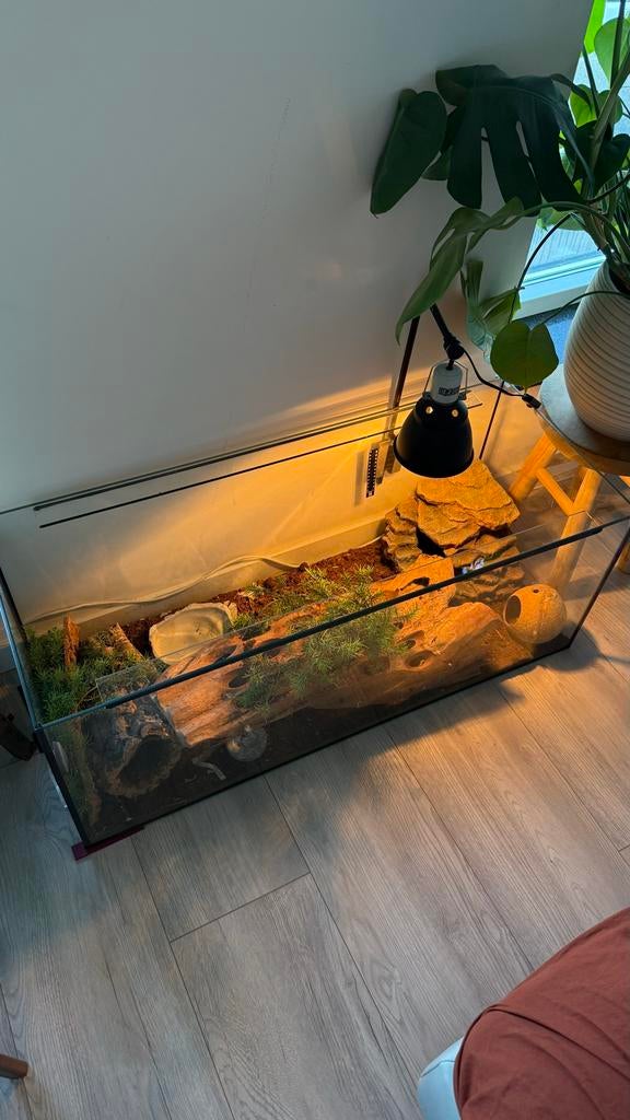 Terrarium, Dieren en Toebehoren, Ophalen, Gebruikt, Terrarium of Paludarium