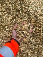 Houtsnippers van Wilgen, 6 m³ of meer, Ophalen of Verzenden, Overige houtsoorten, Takken