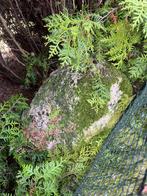 Zwerfkeien, Ophalen, Gebruikt, Kei, Grijs