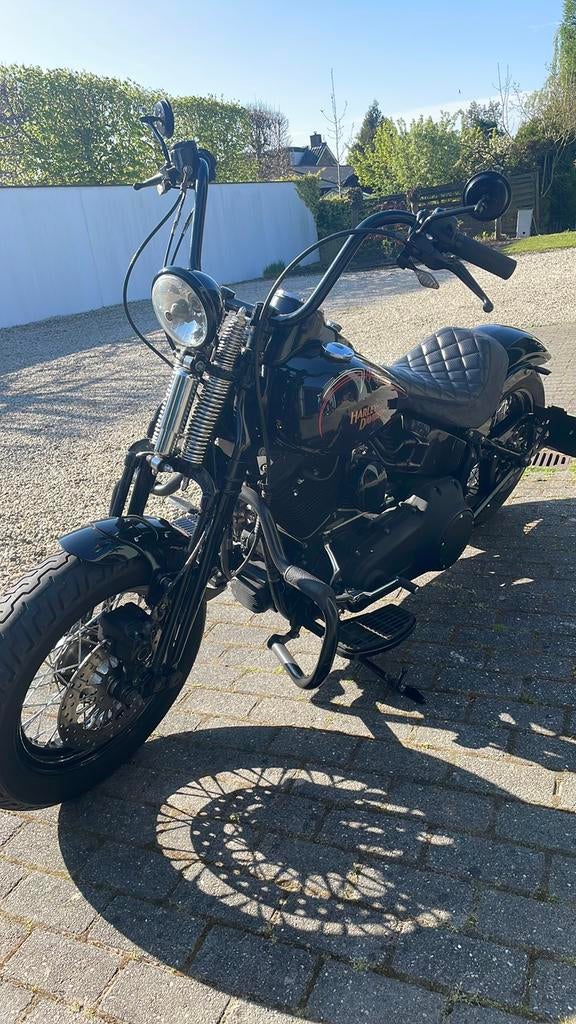 Harley Davidson Cross Bones, Particulier, Chopper