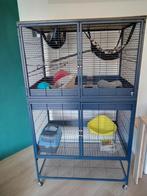 Knaagdier Ratten kooi merk Savic Royal Suite, Ophalen of Verzenden, 75 tot 110 cm, Kooi, 90 cm of meer