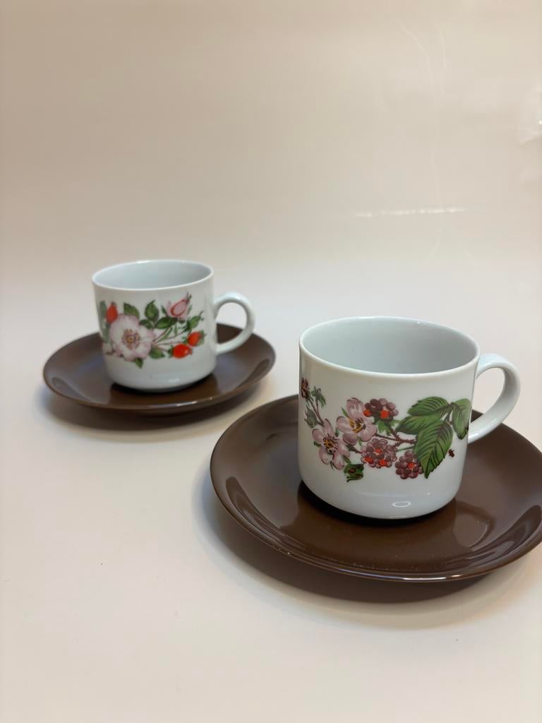 Seltmann Weiden Vintage Kop en Schotels - Ongebruikt, Ophalen of Verzenden