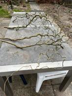 Paastakken, Tuin en Terras, Ophalen of Verzenden, Nieuw