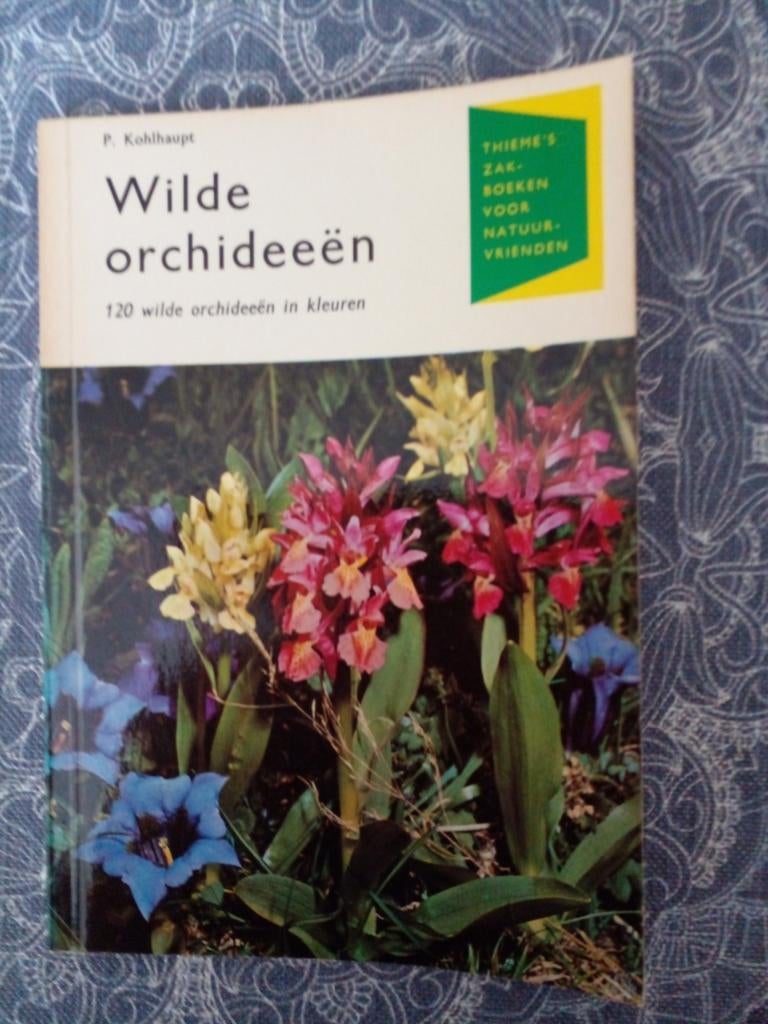 Wilde orchideeën boek P. Kohlhaupt, Ophalen of Verzenden