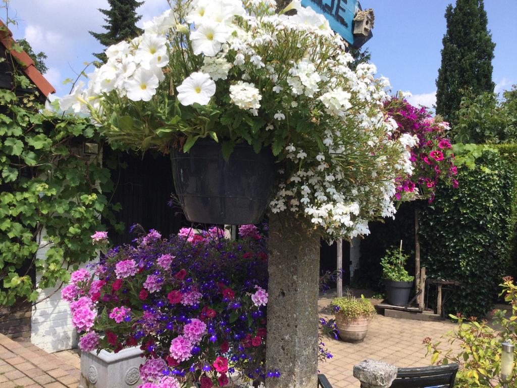 Vrijwilliger tuin . €10,00., Diensten en Vakmensen, Tuinmannen en Stratenmakers