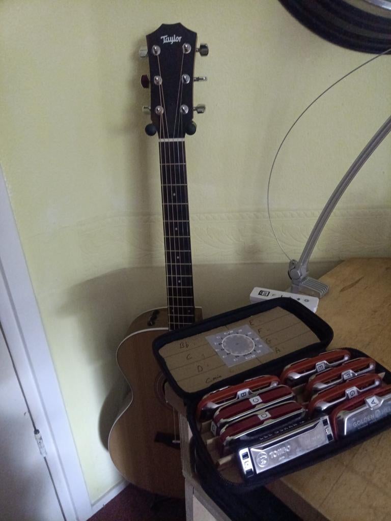 gezocht medemuziekanten country/bluegrass