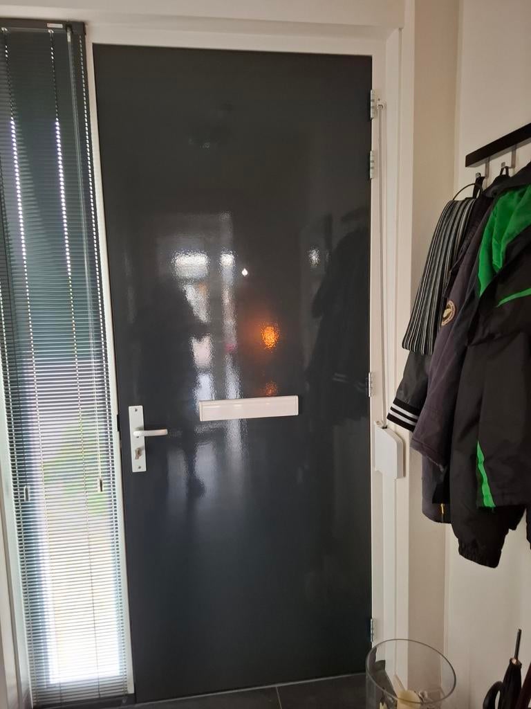 Buitendeuren, 80 tot 100 cm, 215 cm of meer, Ophalen, Hout