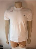 Lacoste T-shirt - Nieuw met kaartjes - Maat M, Ophalen of Verzenden, Nieuw, Maat 48/50 (M)