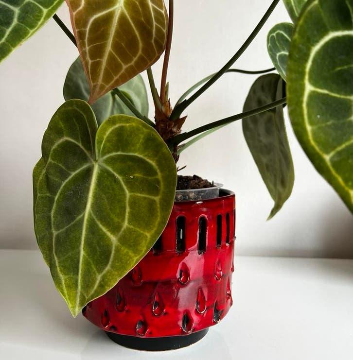 Vintage Fratelli Fanciullacci Bloempot Fragola Rood 60’s, Antiek en Kunst, Ophalen of Verzenden