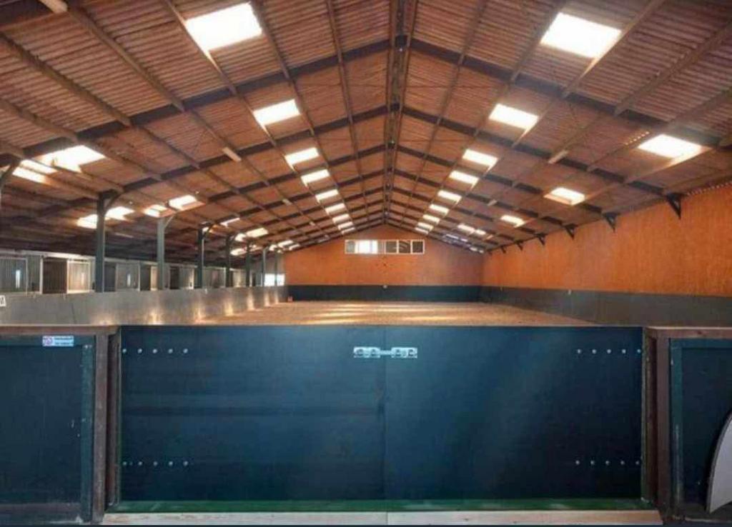 Nog enkele stallen vrij! Pensionstalling in Riemst, Dieren en Toebehoren, Stalling, 2 of 3 paarden of pony's