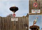 COMPLEET 2,5 meter hoog Ooievaarsnest / Landingsplaats nr. 3, Ophalen of Verzenden, Zo goed als nieuw, Geboortebord