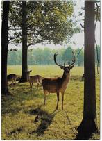 Ermelo Gelopen Ansichtkaart ( B5752), Ophalen of Verzenden, Voor 1920, Gelopen, Gelderland