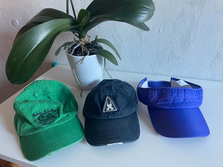 Petten en Zonneklep voor het aankomende seizoen, Kleding | Dames, Hoeden en Petten, Gedragen, Pet, One size fits all, Ophalen of Verzenden