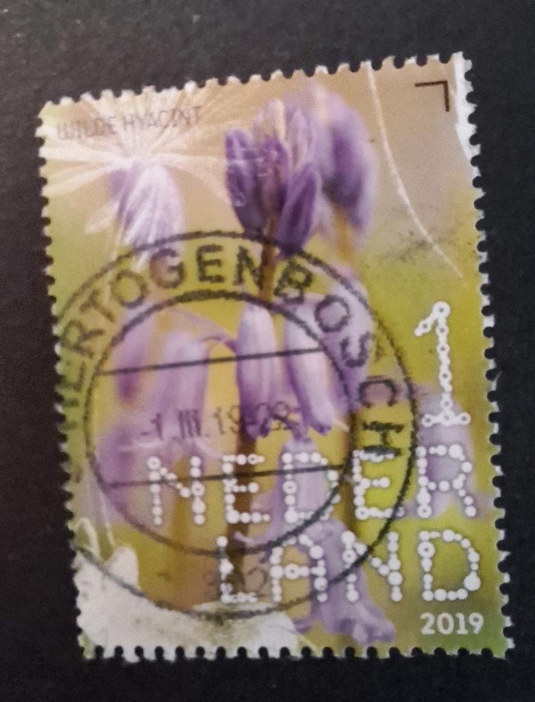 2019 Nederland - wilde hyacint, Ophalen of Verzenden, Na 1940, Gestempeld