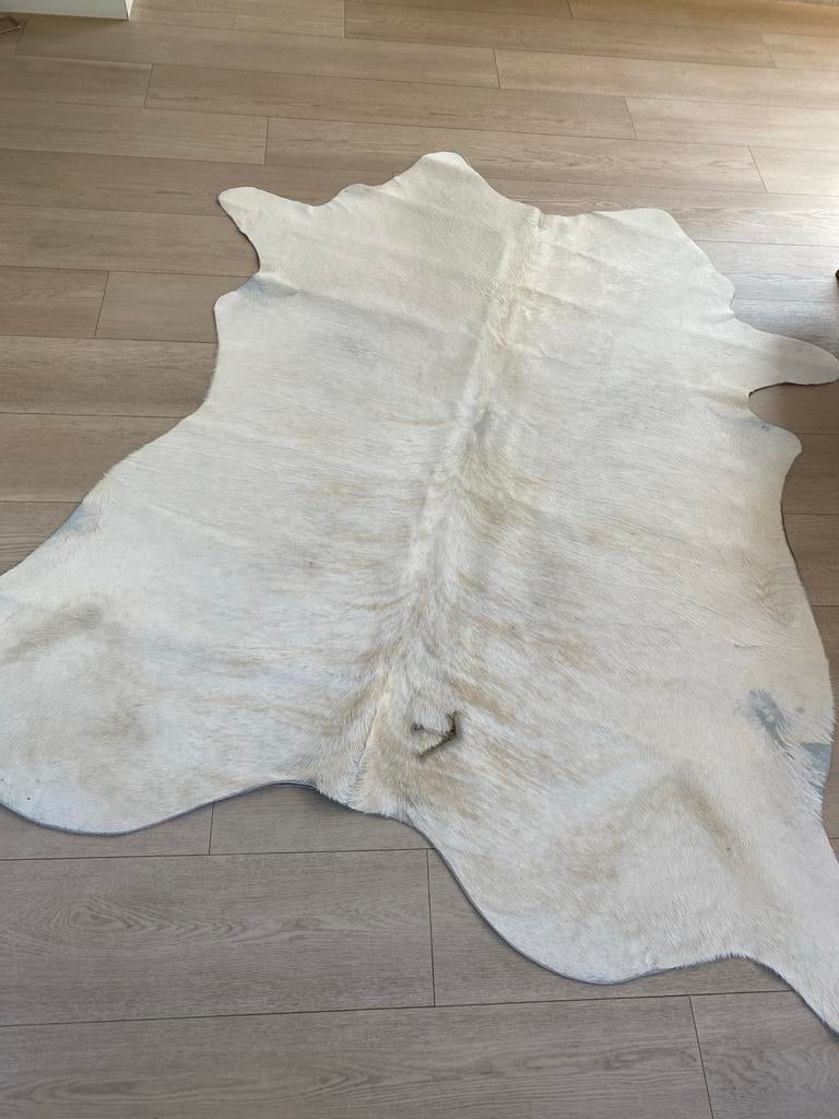 Prachtig wit koeienvel - Natuurlijke elegantie voor uw huis, Huis en Inrichting, 100 tot 150 cm, Wit, Ophalen of Verzenden, Zo goed als nieuw