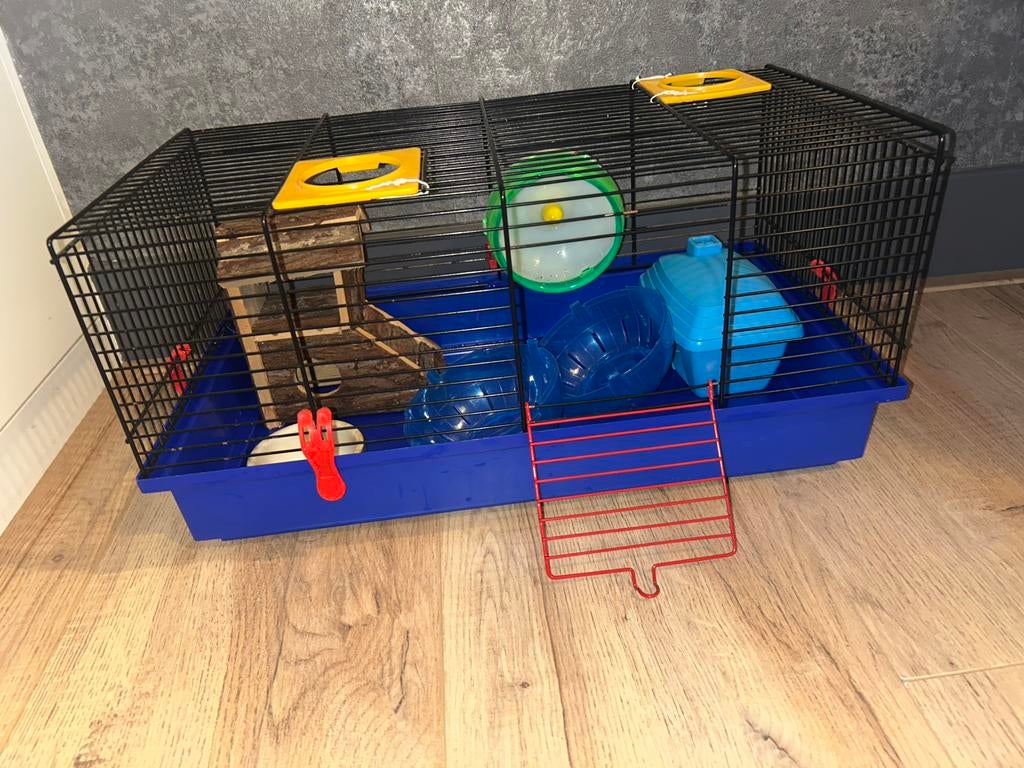 hamster kooi, Ophalen, Kooi, Gebruikt, 60 tot 90 cm