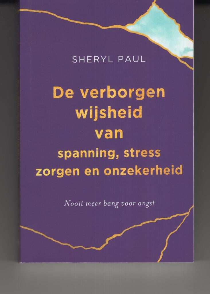 De verborgen wijsheid van spanning stress zorgen en onzeker, Boeken, Ophalen of Verzenden, Zo goed als nieuw, Spiritualiteit algemeen