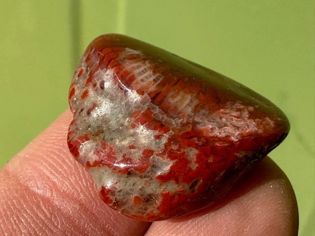 Rode hoorn Koraal  broekzaksteen mineraeln, Ophalen of Verzenden, Mineraal