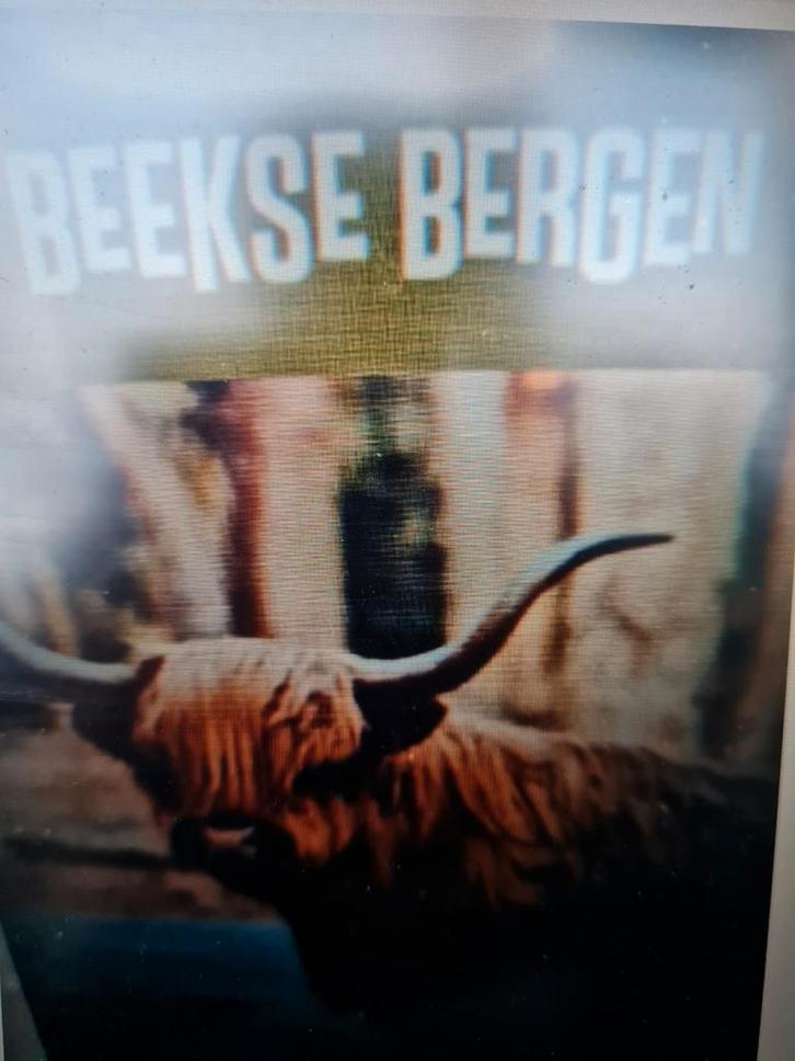 Safaripark beekse bergen e-tickets, meerdere aanwezig, Tickets en Kaartjes, Recreatie | Dierentuinen, Drie personen of meer, Ticket of Toegangskaart