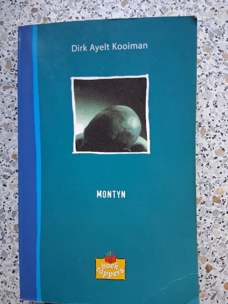 De Roman "Montyn", geschreven door : Dirk Ayelt Kooiman., Gelezen, Europa overig, Ophalen of Verzenden, Dirk Ayelt Kooiman.
