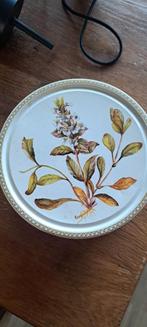 Koekblik met botanische afbeelding 19cm, Antiek en Kunst, Antiek | Schalen, Ophalen of Verzenden