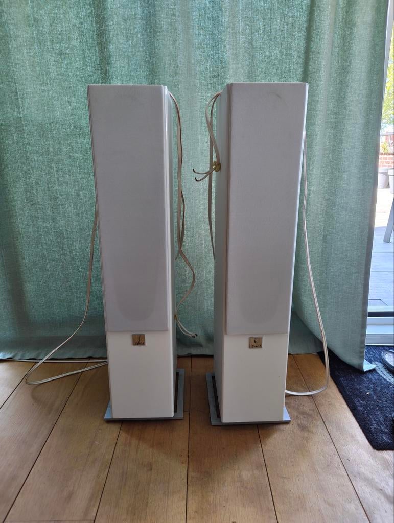 Dali Zensor 5 (set van 2), Audio, Tv en Foto, Luidsprekers, Ophalen, Gebruikt, Front, Rear of Stereo speakers, Overige merken