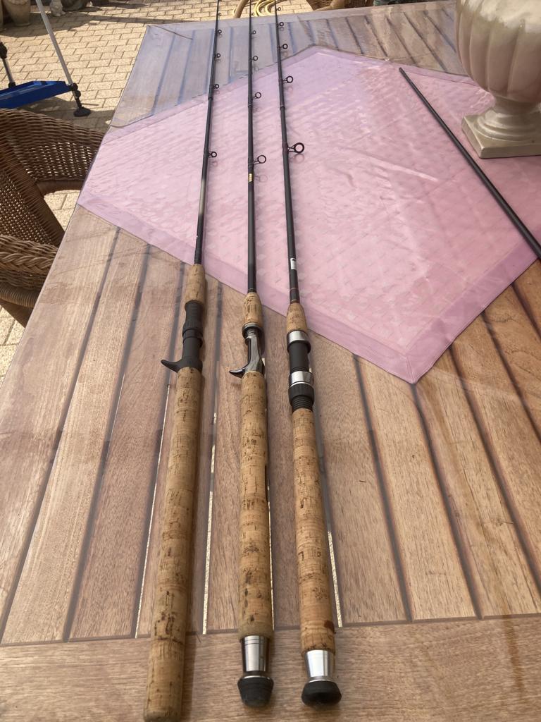 Te Koop 3 Hengels voor roofvis of Carp zo goed als nieuw, Ophalen, Zo goed als nieuw, Overige typen