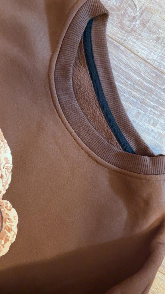 Teddy bear trui, Verzamelen, Ophalen of Verzenden, Nieuw, Stoffen beer, Overige merken