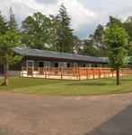 Stalling, Stalling, 2 of 3 paarden of pony's