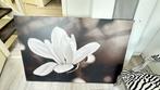Schilderij Zwart-Wit Bloem Canvas, Ophalen of Verzenden, Gebruikt