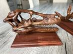 Velociraptor replica schelden / dinosaurus, Ophalen of Verzenden, Fossiel