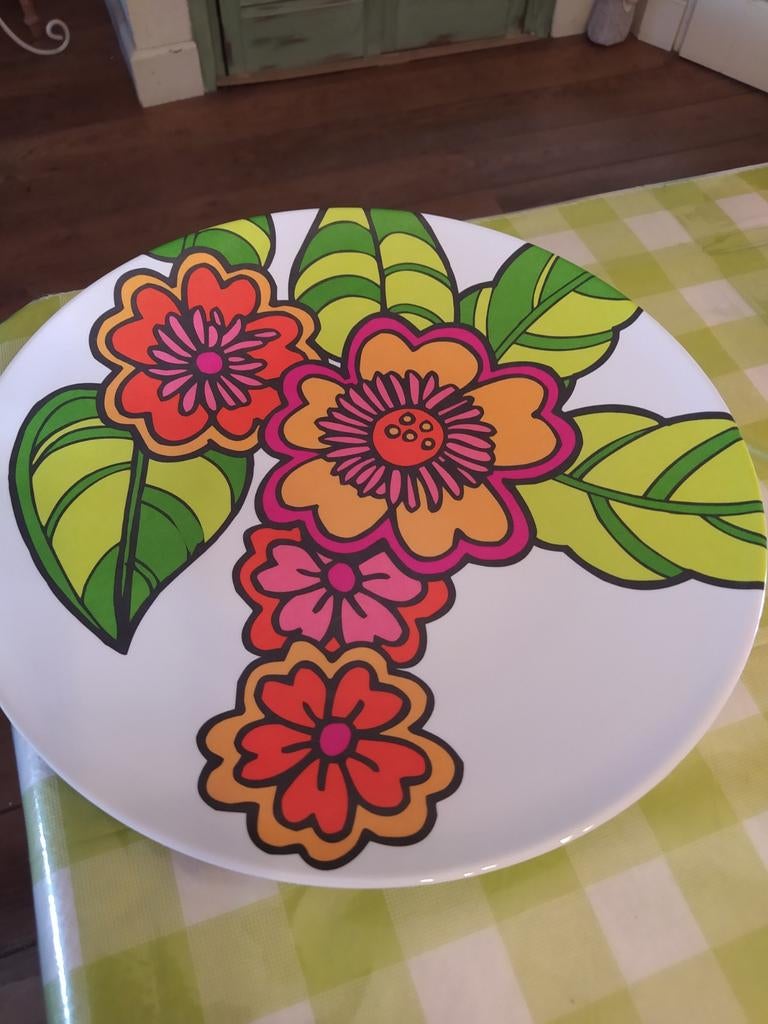 Gevraagd een bord zoals deze van de Hema (kunsstof, Ophalen of Verzenden, Overige stijlen, Bord(en)