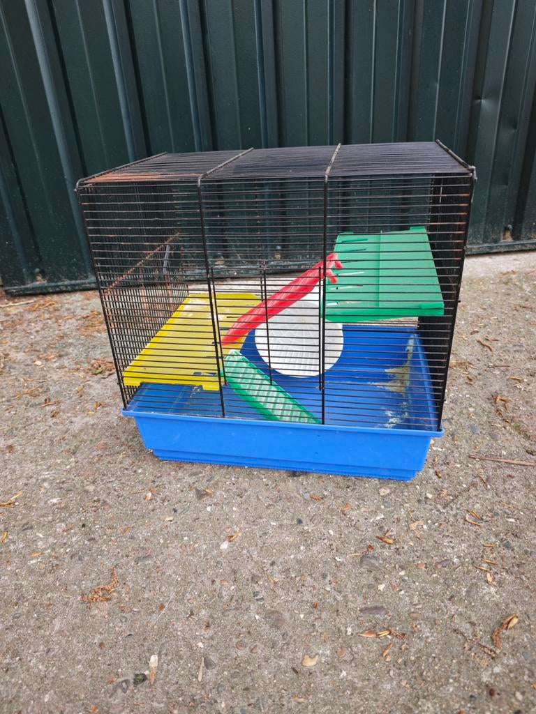 Hamster kooi, Kooi, Gebruikt, Minder dan 75 cm, Rat