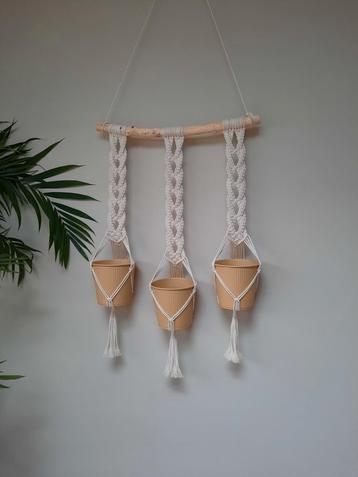 Plantenhangers aan stok. beschikbaar voor biedingen