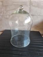 Glazen stolp 23 cm hoog, Ophalen of Verzenden, Zo goed als nieuw