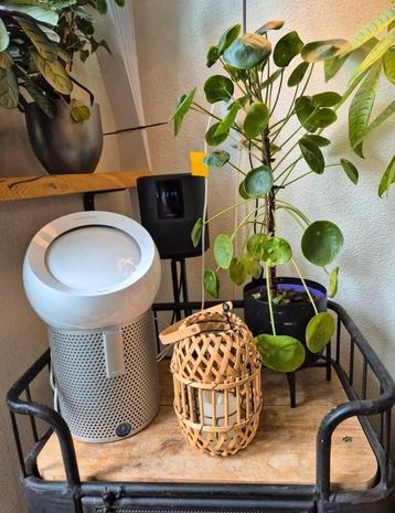 Dyson Pure Cool Me Luchtreiniger / Ventilator beschikbaar voor biedingen