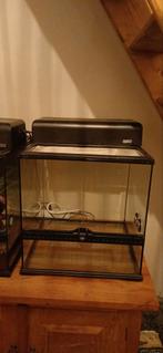 Exo terra 45x45x45, Ophalen, Gebruikt, Terrarium of Paludarium