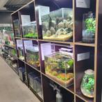 Inspiratie nodig? Mooie aquascape aquariums bij Aquadeco, Dieren en Toebehoren, Vissen | Aquaria en Toebehoren, Ophalen, Nieuw