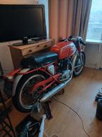 ducati 250cc mach 1, 250 cc, Super Sport, Particulier