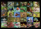 3D kaarten (Vooral Ned.vogels ingelijst), Ophalen, Kunststof, Zo goed als nieuw, 75 tot 100 cm