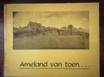 boek Ameland van toen, Ophalen of Verzenden, Gelezen